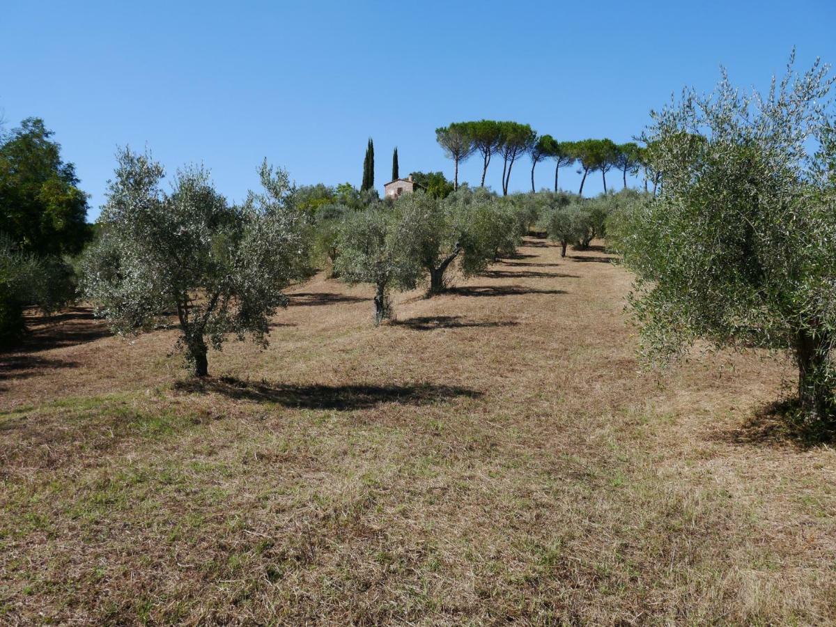 Ferienhaus Il-Pino Vila Roccastrada Exterior foto