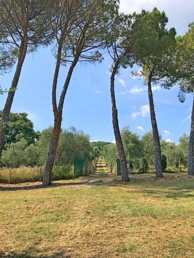 Ferienhaus Il-Pino Vila Roccastrada Exterior foto
